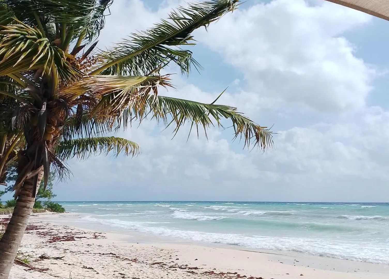 Apartment La Casa De Playa Del Carmen , A Solo 200 M De La Playa Punta Esmeralda
